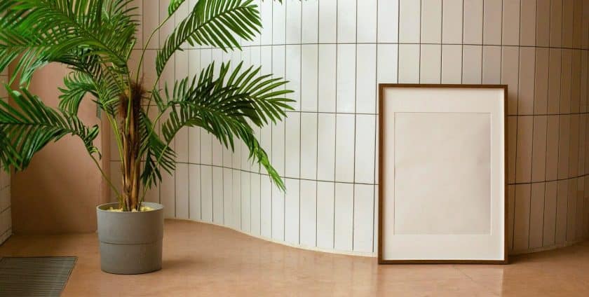 Room filled with plants and picture frame showcasing cork flooring